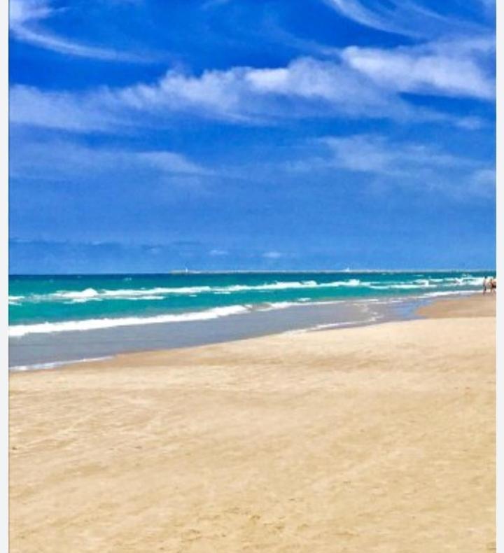 Apartamento Vistas Al Mar, 11 Planta, 50M Playa!! Miramar Exteriör bild